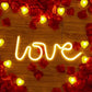 Love led neon sign