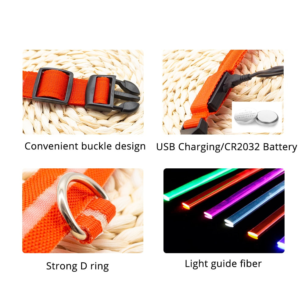 USB CHARGING LIGHT UP LED DOG COLLAR